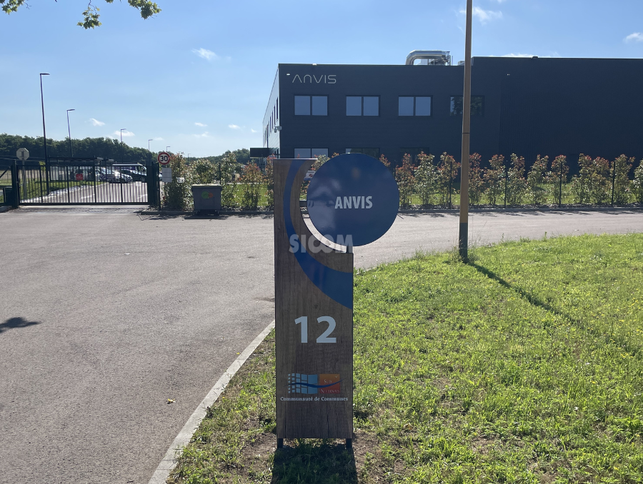 WEB PHOTO 10 e1734616090993